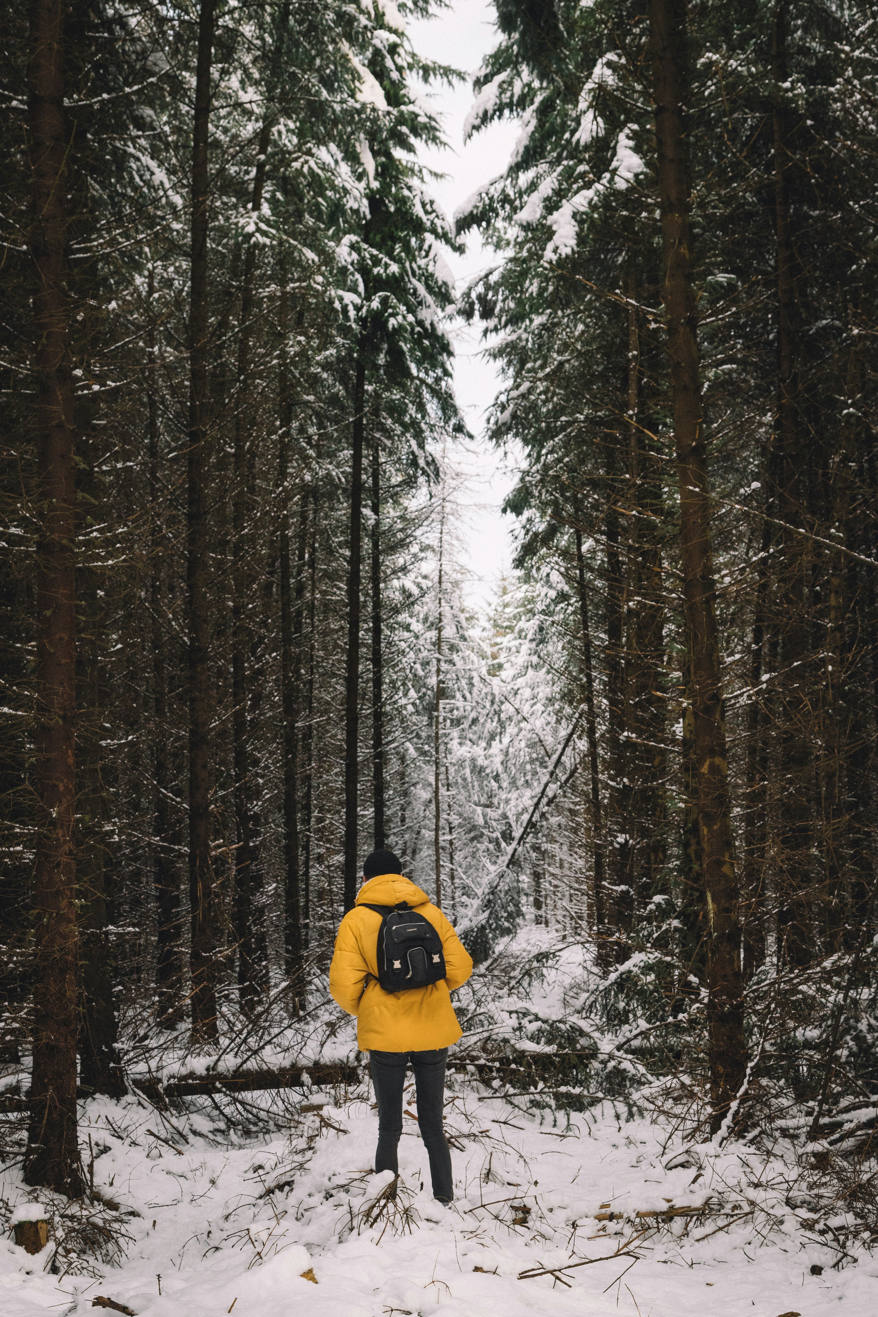 person in yellow bubble jacket and blue jeans in middle of trees
